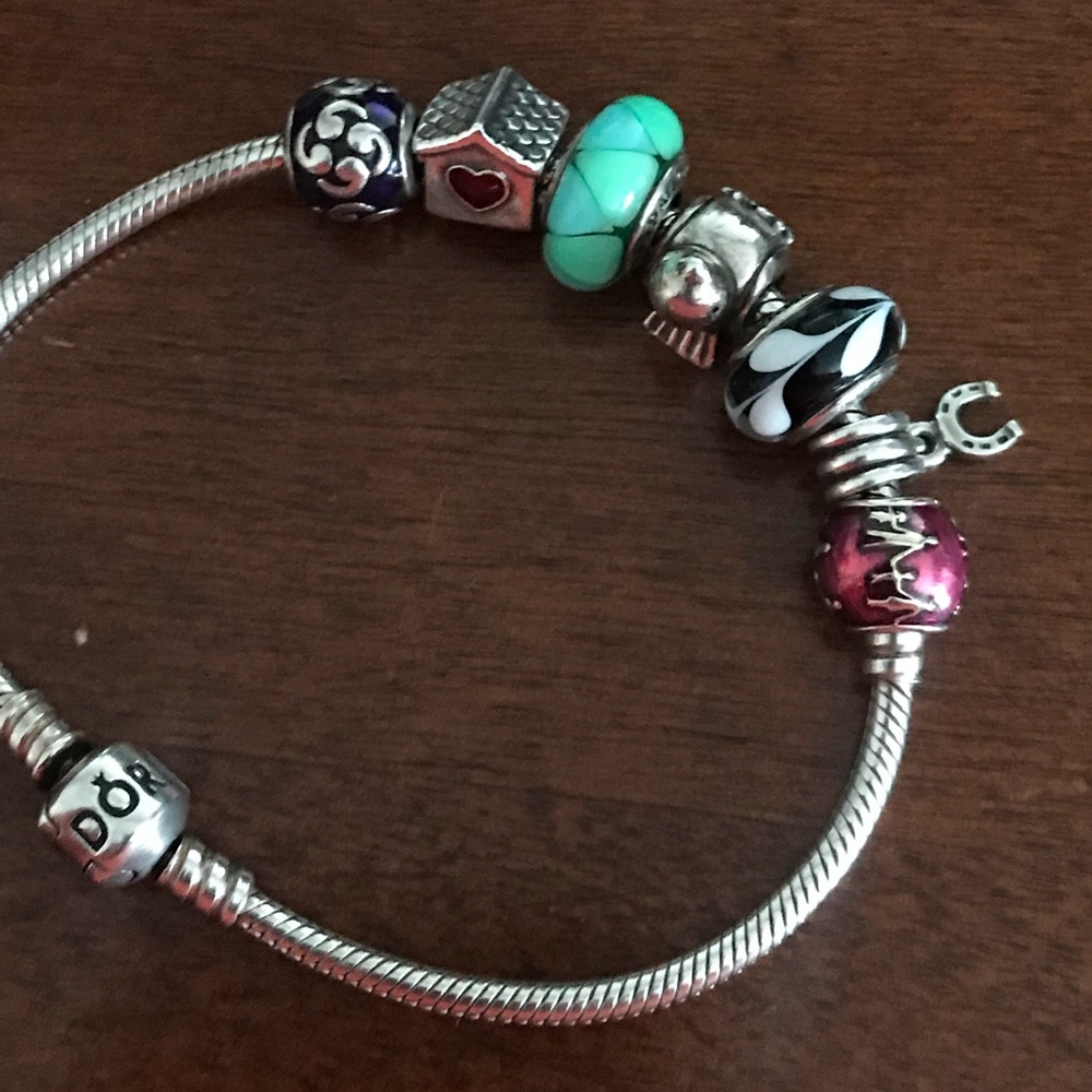 Pandora Charm Bracelet...  all charms included!!!